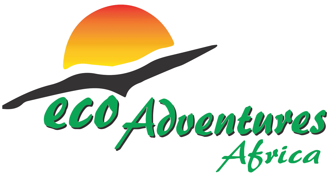 ecoAA.png